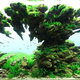 Illustration for article titled These beautiful natural landscapes are actually aquariums